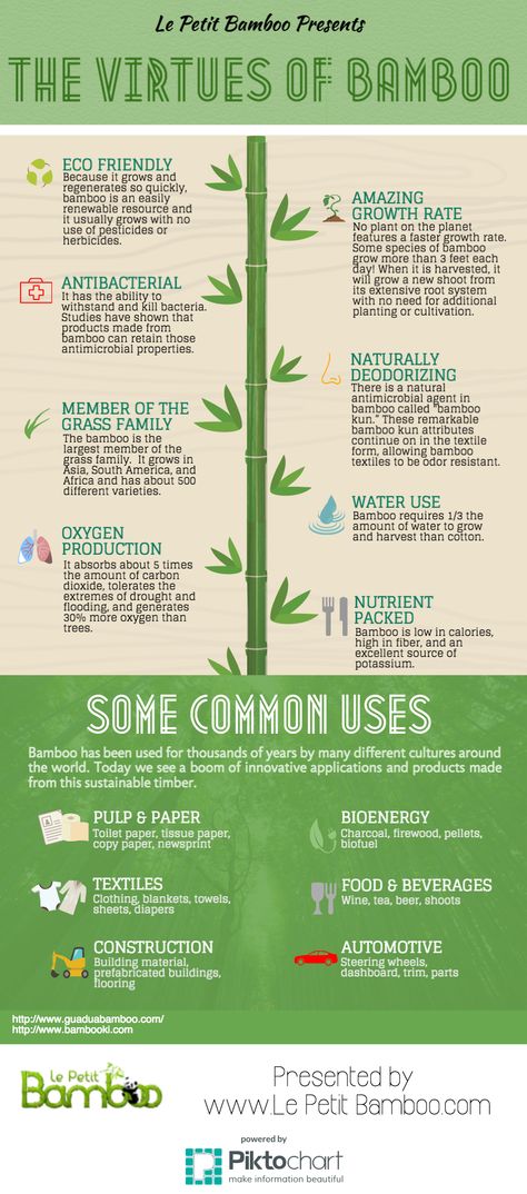 bamboo advantages
bamboo vs cotton
bamboo textile
sustainable clothing